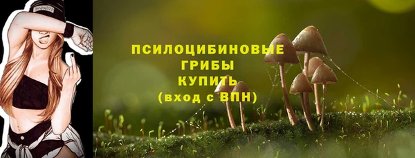эйфоретик Белоозёрский