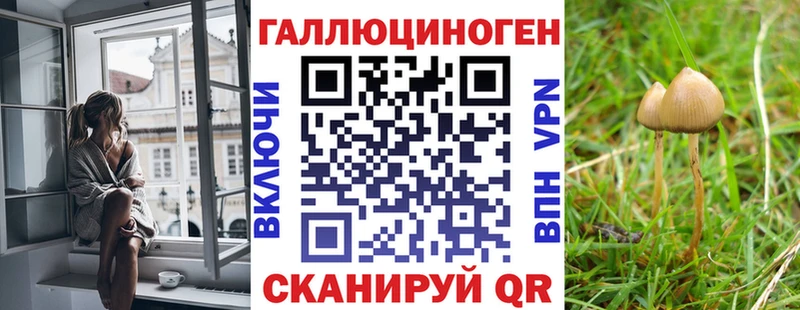 Галлюциногенные грибы Cubensis  Демидов 